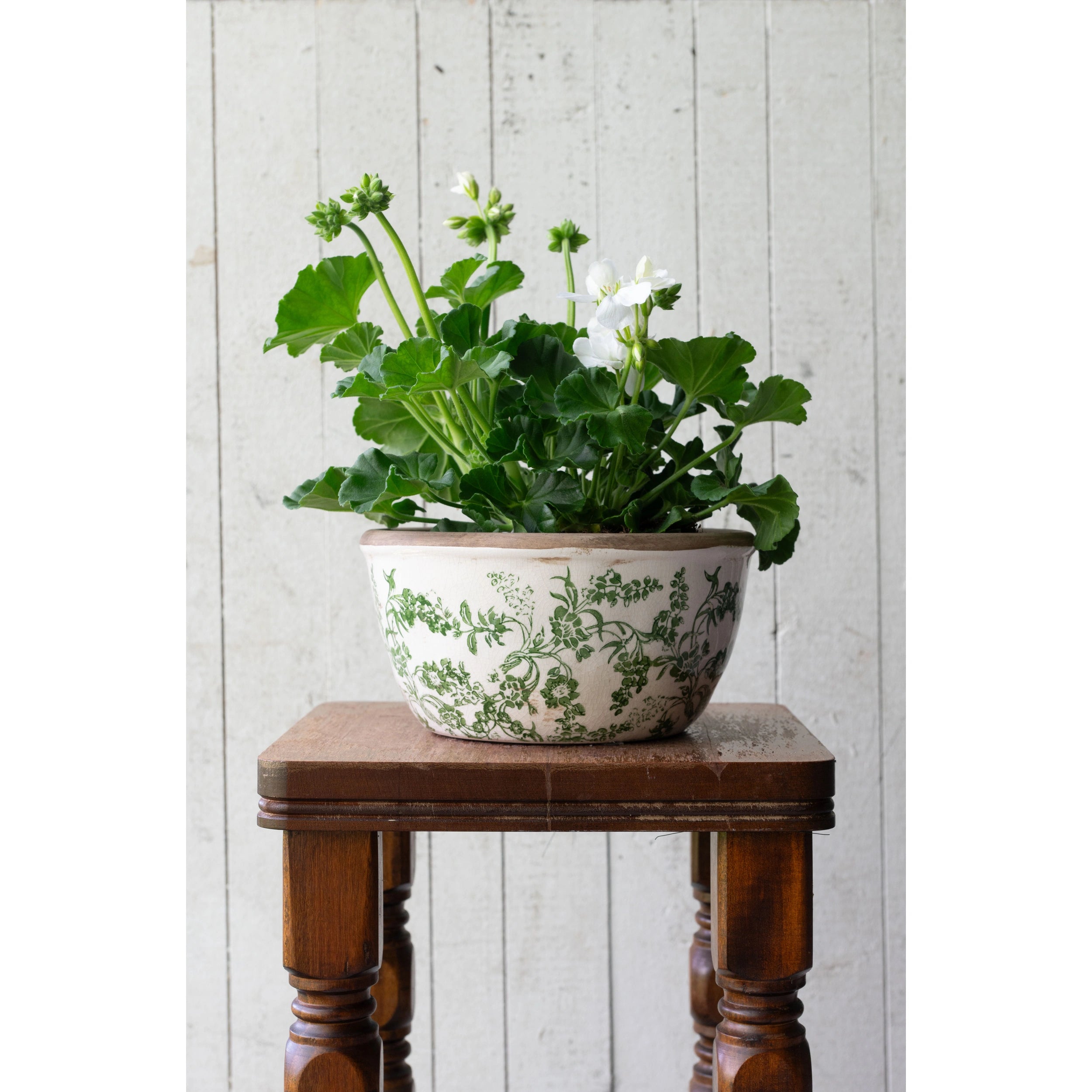 White Geranium in Isla stoneware planter with green leaf pattern on white background on rustic stool.