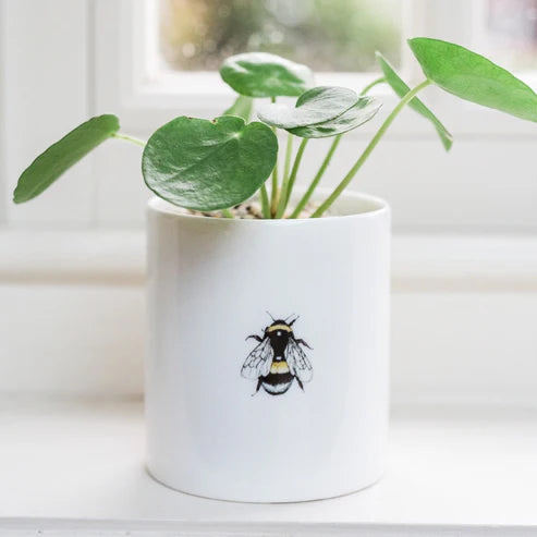 White pot with a plant and a bee design on a light background