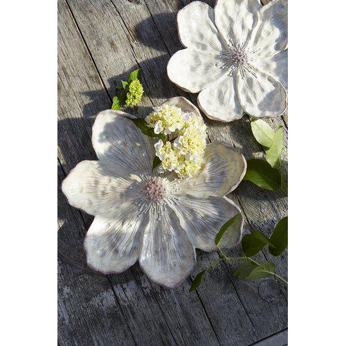 Lakshmi saucers lifestyle