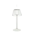 Iona clear glass lantern tea light holder on a white background