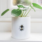 White pot with a plant and a bee design on a light background