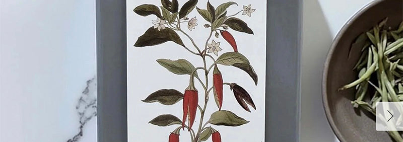 Box labeled 'Moroccan Pamper Set' with botanical design on a marble surface.