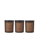 Three Wabi Sabi Candles in Black Jars in Lime Eucalyptus, Lemongrass Ginger root and Ginger Lily Lotus.